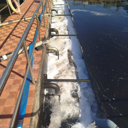 1766470472670.jpg