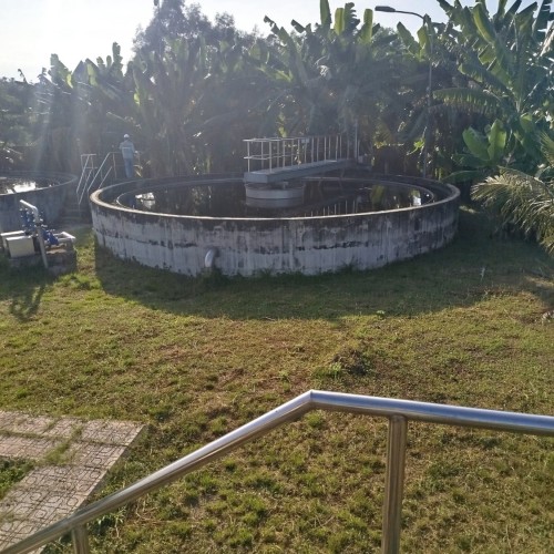 1766624808346.jpg