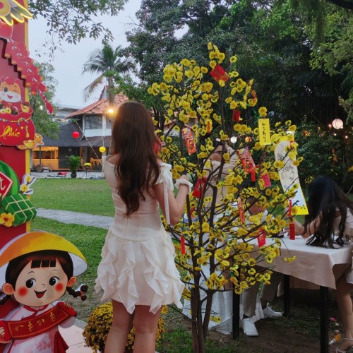 IMG-20260207-174544-2.jpg